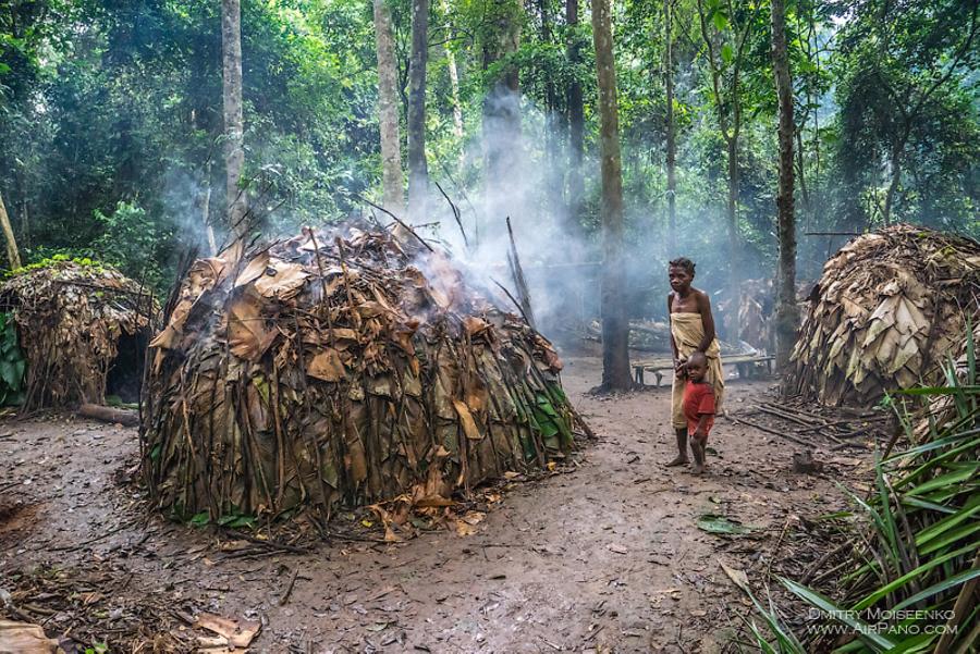 Baka people in Cameroon (AP) | Special Information | Cameroon | Africa